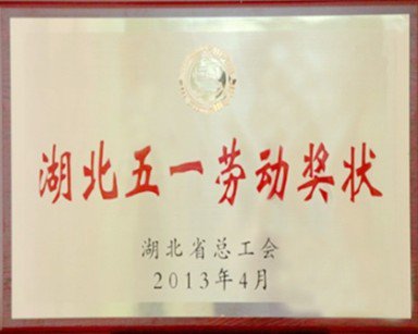 2013-湖北省五一劳动奖状