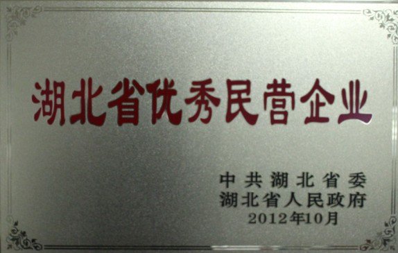 2012-湖北省优秀民营企业