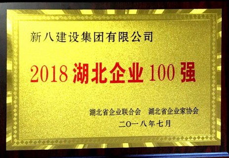 2018年湖北企业100强奖牌.jpg